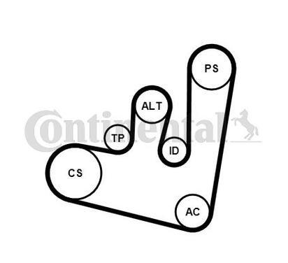 6PK1660K2
CONTITECH
Zestaw paska klinowego wielorowkowego
