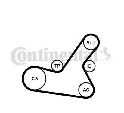 6PK1564K2
CONTITECH
Zestaw paska klinowego wielorowkowego
