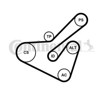 6PK1725K2
CONTITECH
Zestaw paska klinowego wielorowkowego
