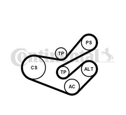 6PK1750K3
CONTITECH
Zestaw paska klinowego wielorowkowego
