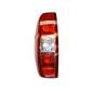 215-19K6L-LD-UE
DEPO
Lampa tylna zespolona
